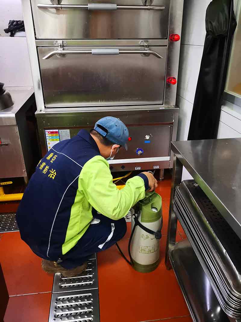 學校食堂滅蟑螂